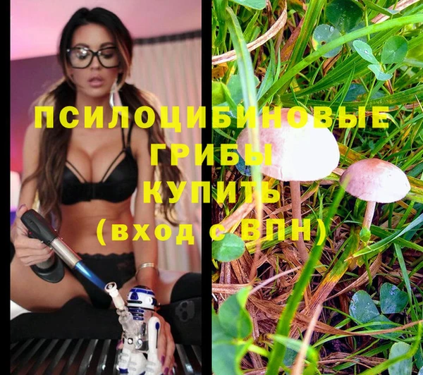 прущая мука Щучье