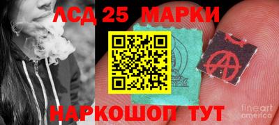 прущие грибы Сланцы