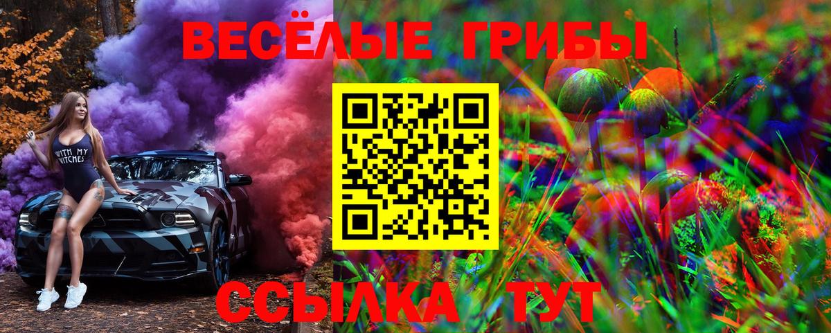 Иркутск  Галлюциногенные грибы GOLDEN TEACHER  Вход с VPN 